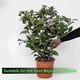thumbnail image 4 of 10-14Inch Monitor Soil Sampler and Moisture Meter for Lawn Plant Garden Farm Soil Sampling, 4 of 5
