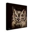 thumbnail image 2 of Hippie Hound Studios 'Black Background Owl' Canvas Art, 2 of 3