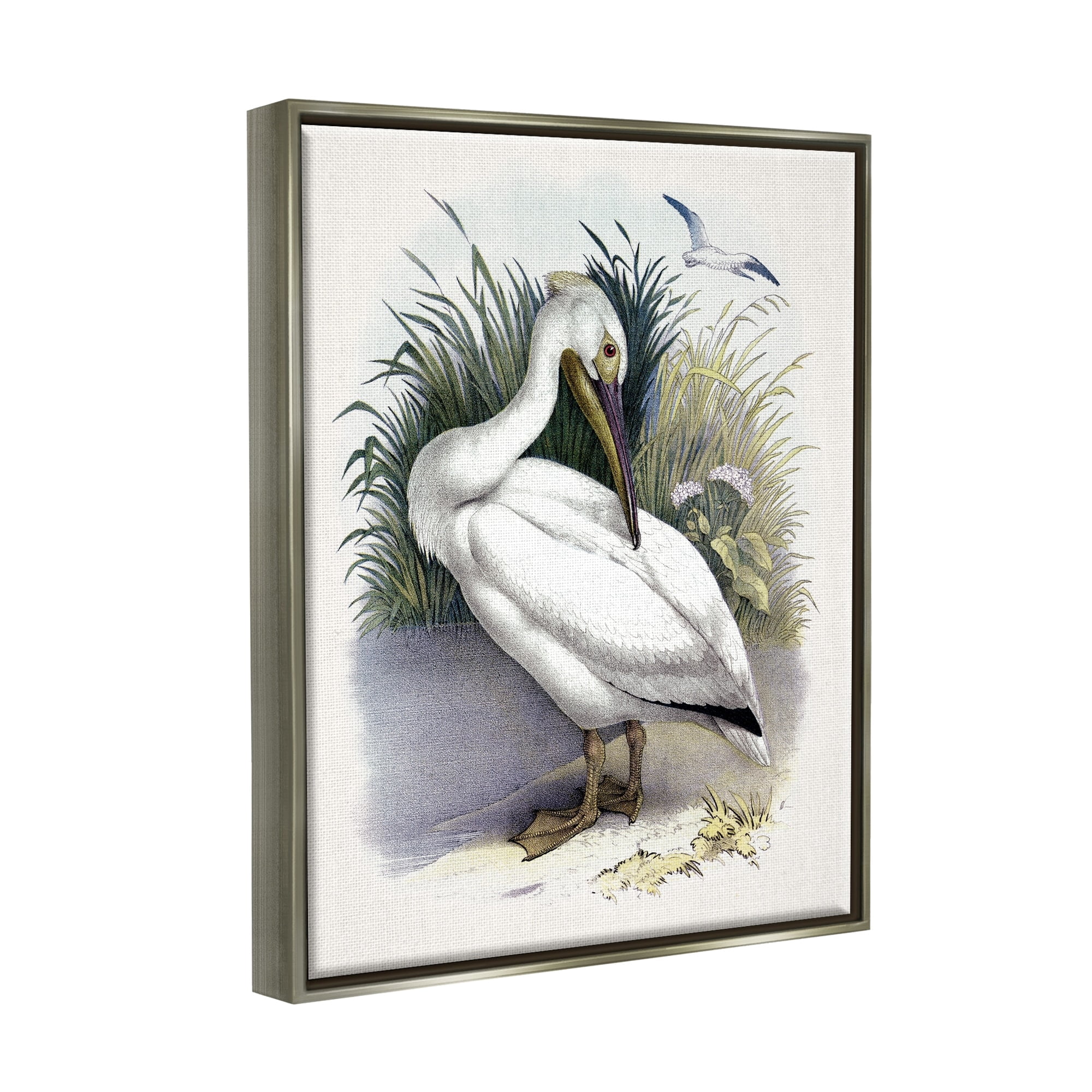 Stupell Industries White Pelican Bird Preening Grassy Riverbank Shore Painting Luster Gray Floating Framed Canvas Print Wall Art, Design by Piddix