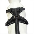 thumbnail image 5 of Dog Collar Knee Brace for Hind Leg for Asian Dog Arthritis L, 5 of 5