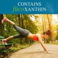 thumbnail image 3 of Suplementos Garden of Life Fucoxanthin FucoThin 90 cápsulas blandas, 3 of 3