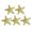 Yellow, variant on Stable Grip Hair Clip 5pcs Girls Hairpin Set with Starfish Shape Hair Clip Stable Grip Macaron Colors Trendy Summer Hair for Beach for Women