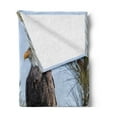 thumbnail image 2 of Idaho Soft Flannel Fleece Throw Blanket, American Bald Eagle on a Branch in Northern Gem State Photo, Cozy Plush for Indoor and Outdoor Use, 50" x 70", Army Green Ceil Blue, by Ambesonne, 2 of 5