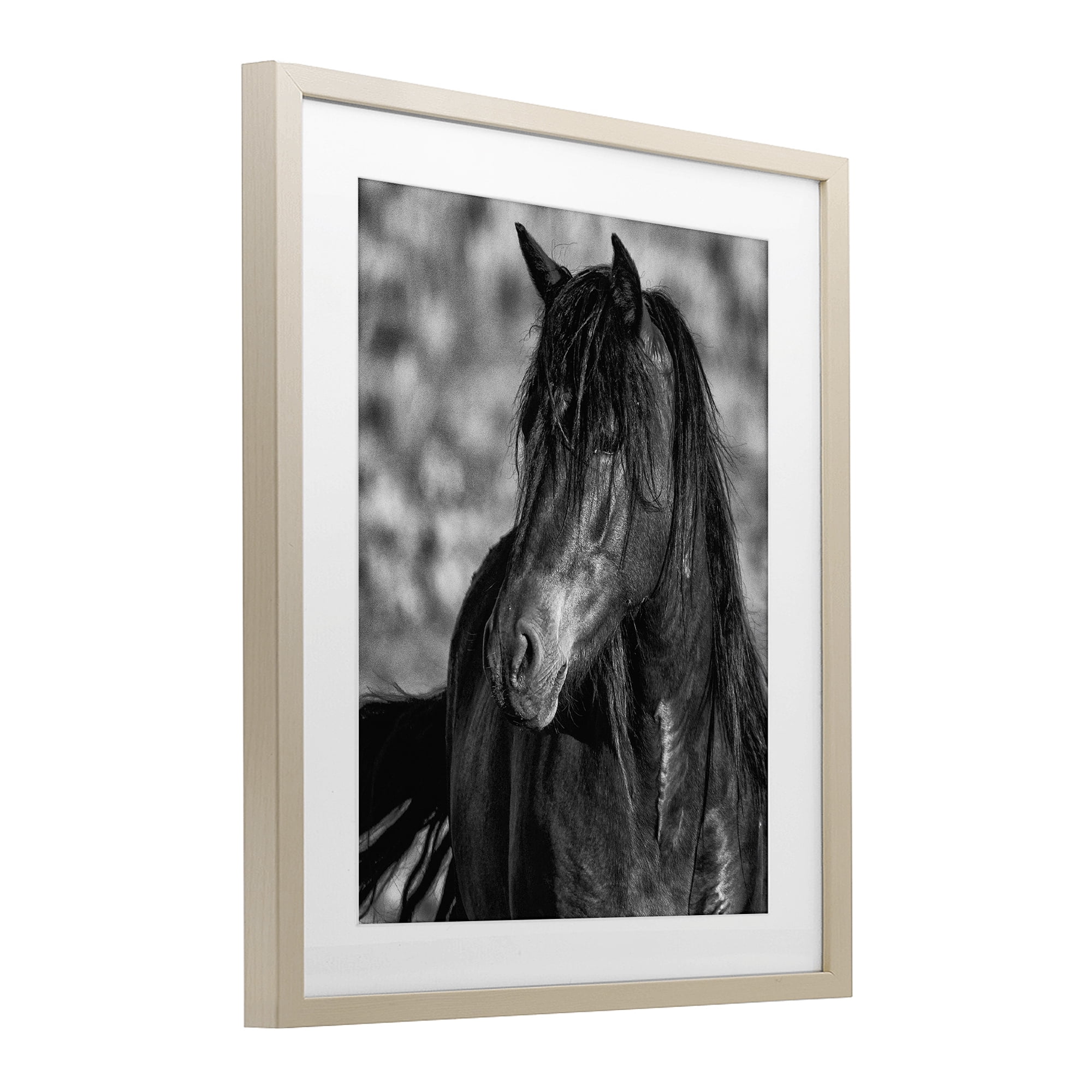 Stupell Industries Beauty In Black Birch Framed Print Under Glass, design by Tim West