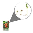 thumbnail image 2 of Semillas Zanahoria Vita, 2 of 5