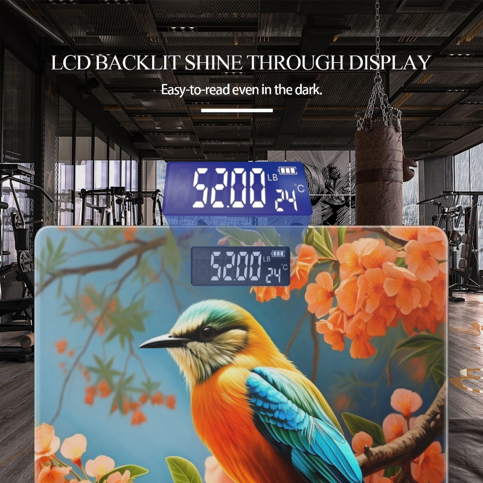 Bathroom Scale, Highly Accurate Digital Body Scale,Precisely Measures Weight up to 400 lbs-Beautiful Bird With Vibrant Feathers Perched On Orange Tree Branch