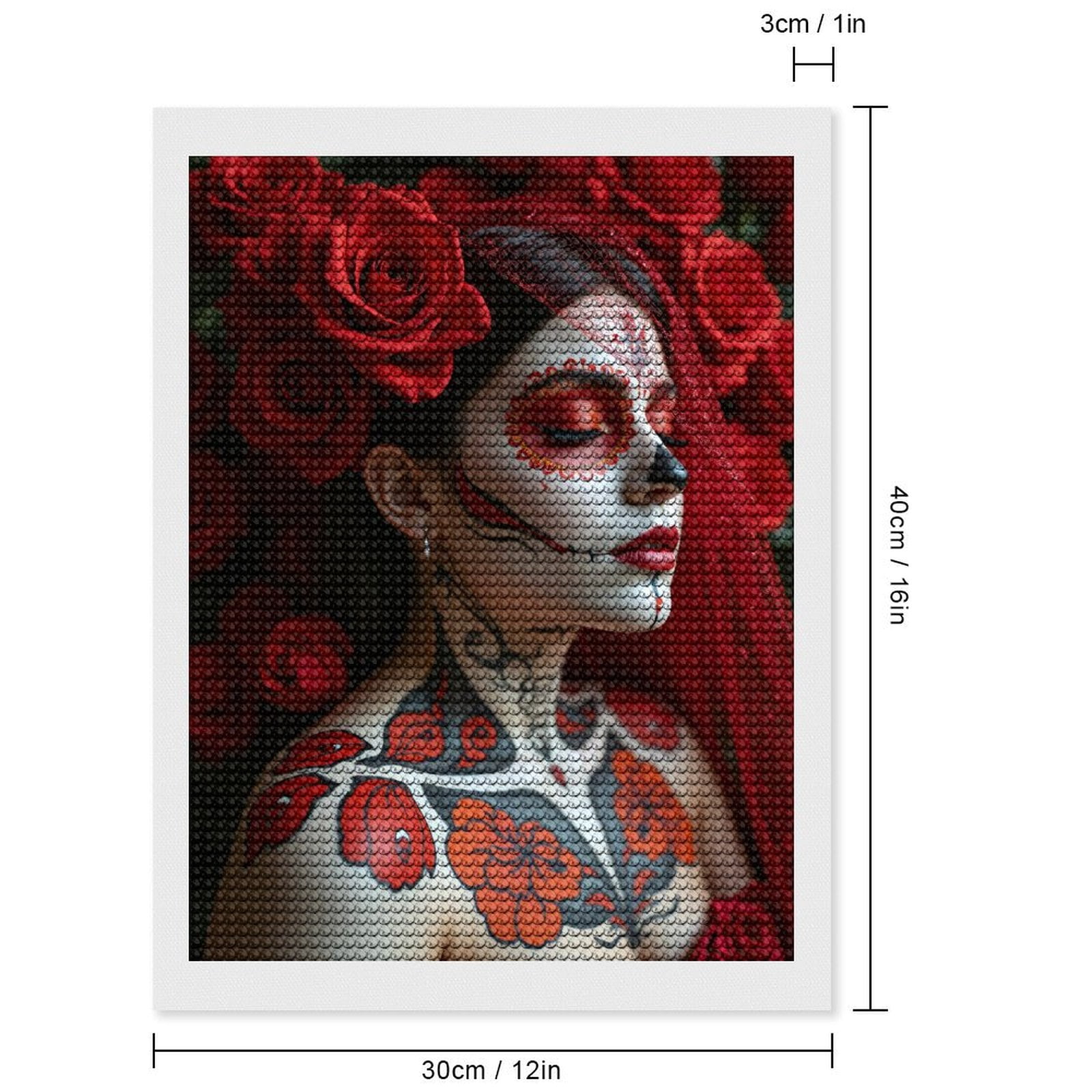 Diamond Art Kits for Adults, Red Rose Face Art Portrait 5D Diamond Painting Kits for Adults Beginners, DIY Full Drill Diamond Painting, Gem Art and Crafts 12x16