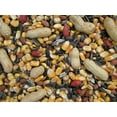 thumbnail image 2 of Cole's Wild Bird Products Critter Munchies Critter Feed - Mix for Squirrels & Blue Jays - 20-Pound, 2 of 4