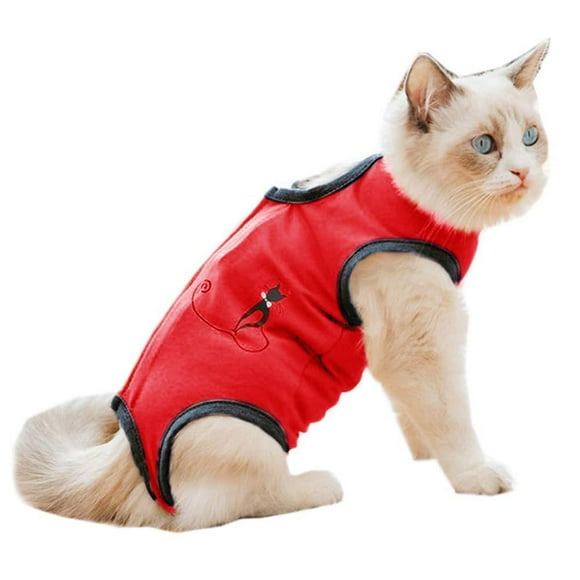 Cat Recovery Suit