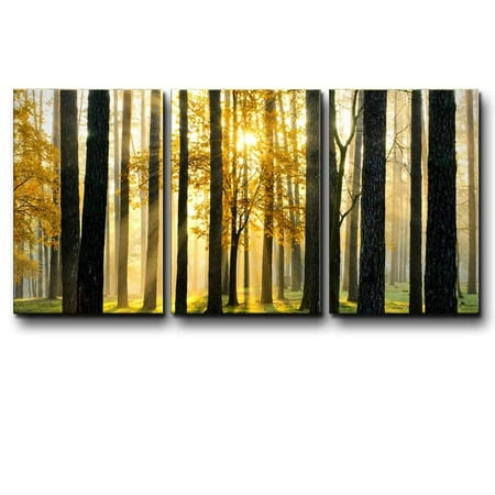 Muir Wood Forest - wall26 - Three Piece Canvas - Tree Forest During Fall Time with The Sun Peeking Through on 3 Panels - Canvas Art Home Decor - 16x24 inches