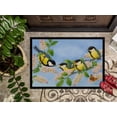 thumbnail image 3 of Great Tit Family of Birds Door Mat, 3 of 4