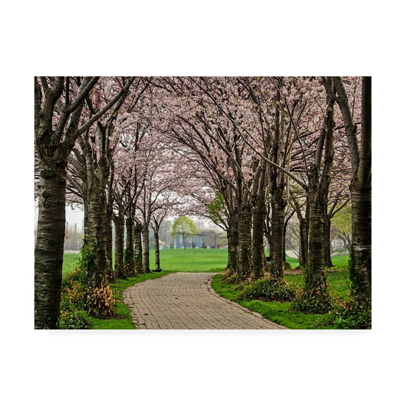 Trademark Fine Art 'Cherry Blossom Winding Path' Canvas Art by Chuck Burdic