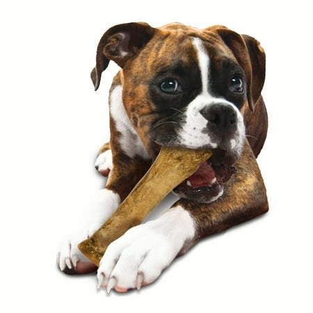 UPC: 0018214842446 | Nylabone Healthy Edibles Natural Dog Treats