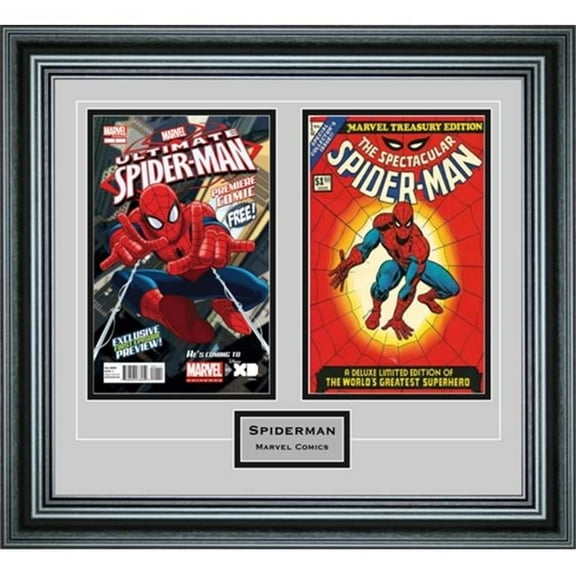 Perfect Cases DBCMCENG-PM Double Comic Book Frame with Engraving in Premium Moulding