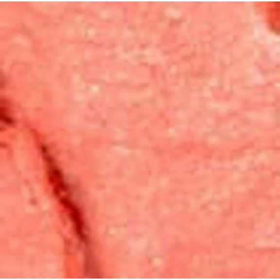 NYX Round Case Lipstick Lip Cream 564A Stella