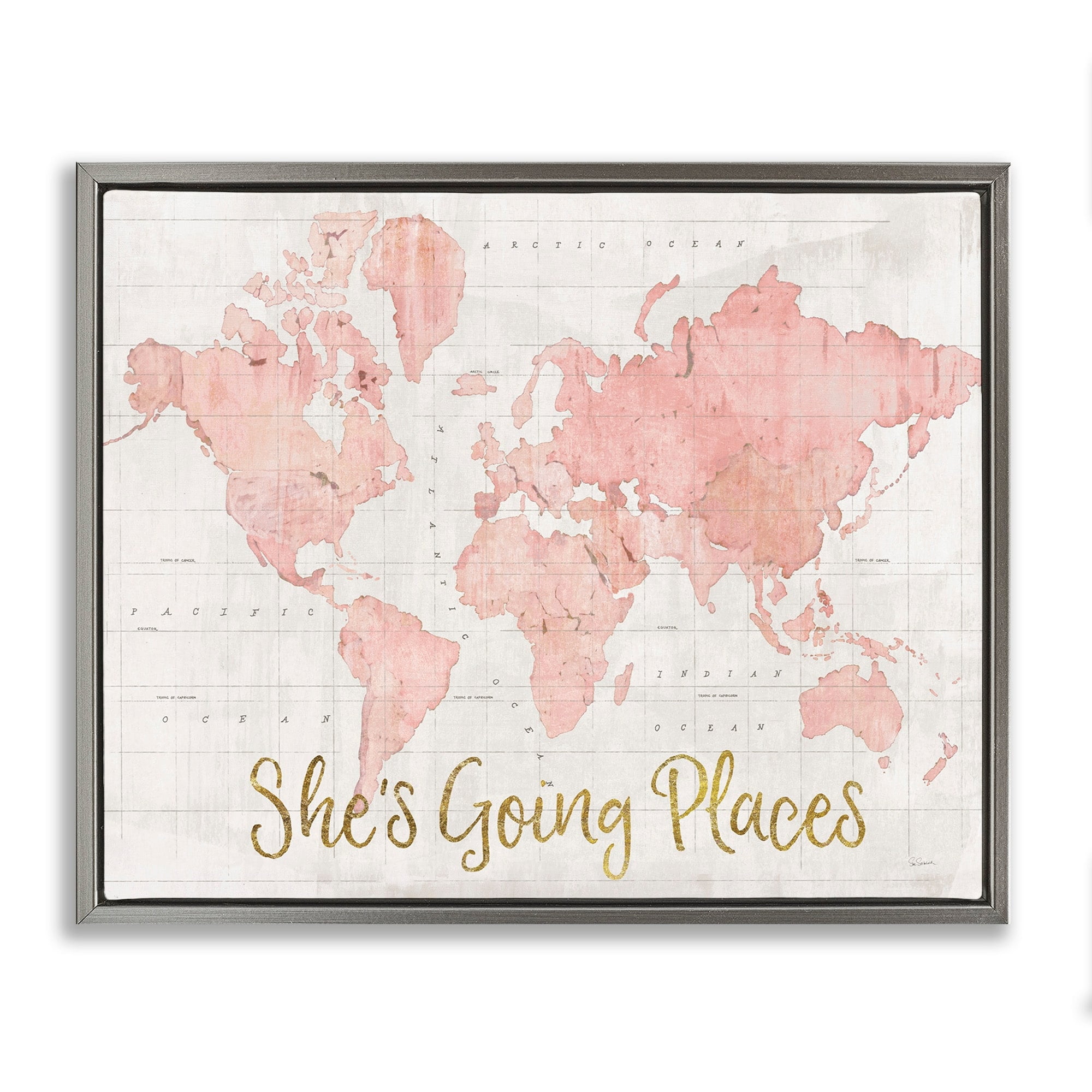Stupell Industries She's Going Places Quote Pink Watercolor World Map Luster Gray Framed Floating Canvas Wall Art, 24x30, by Sue Schlabach