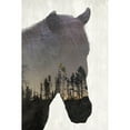 thumbnail image 3 of Kimberly, Allen 13x18 Black Modern Framed Museum Art Print Titled - Starry Night Horse, 3 of 5