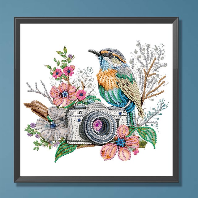 Pintura de diamante 5D DIY Kit de taladro en forma especial parcial Cámara Decoración del hogar Hugtrwg Para estrenar
