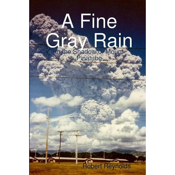 A Fine Gray Rain (Paperback)