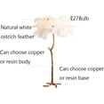 thumbnail image 5 of Floor lamp Nordic Feather LED Floor Lights Living Room Floor Lamp Stand Bedroom Modern Interior Lighting Decor Foyer Standing Lamps Floor lamp, 5 of 7