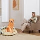 thumbnail image 5 of XWSHYW Mantas Estera para Gatos, Caseta para Perros, Verano, General, Tamaño Pequeño y Mediano, Estera para Dormir para Mascotas, Gatos, Mascotas, 5 of 7