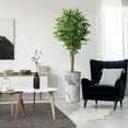 thumbnail image 4 of Artificial Tree in Gray Marble Effect Planter, Fake Ficus Silk Tree for Indoor and Outdoor Home Decoration - 75" Overall Tall (Plant Pot Plus Tree), 4 of 5