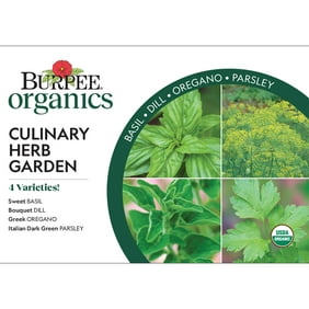 Burpee Organic Culinary Herb Garden Starter Garden Herb Seed Collection - Non-GMO, Organic Herb Seeds, 2.32g, 1-Pack