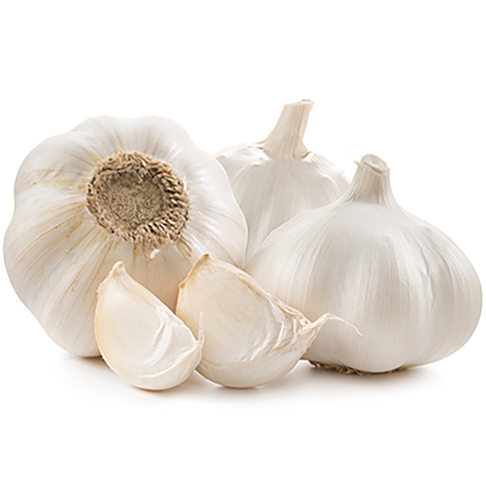 Transylvanian Garlic Bulbs Heirloom 3 Bulbs