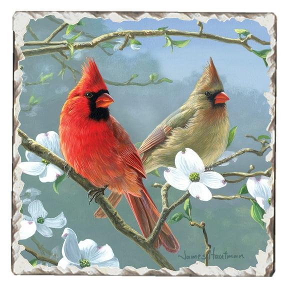Absorbent Stone Tumbled Tile Coasters, Cardinals #3, Set of 4