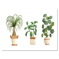 Designart ' Trio of House Plants Ficus Ponytail and Palm ' Traditional Canvas Wall Art Print