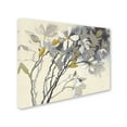 thumbnail image 2 of Trademark Fine Art 'Magnolias Yellow Gray' Canvas Art by Shirley Novak, 2 of 3