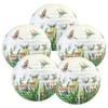 Just Artifacts 16-Inch Spring Round Decorative Paper Lantern (Set of 5, Butterfly Garden)