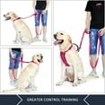 thumbnail image 3 of Plutus Pet Double Handle Dog Leash 6ft Long, Padded Traffic Handle and Reflective, Pink, 3 of 7