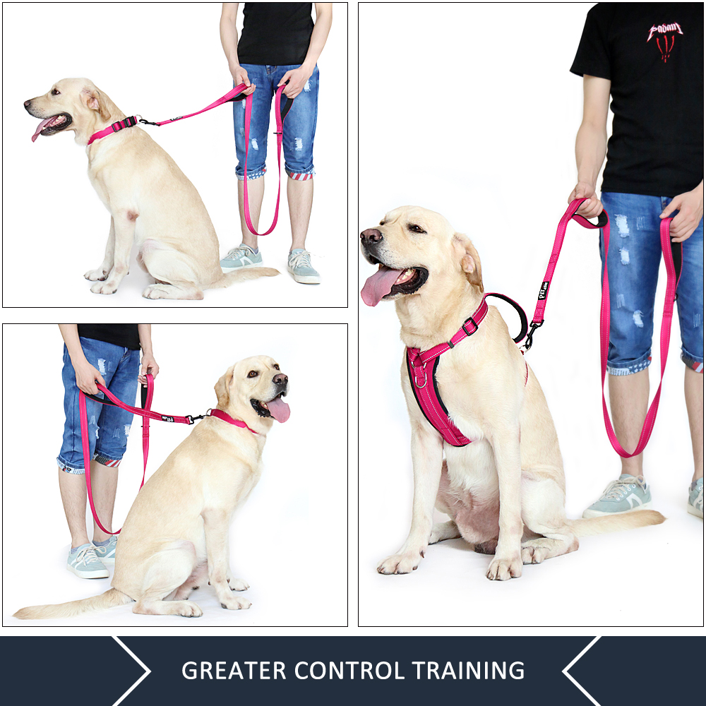 Plutus Pet Double Handle Dog Leash, 6 Feet, Pink, Reflective photo 3
