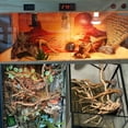 thumbnail image 5 of 2PCS Reptile Wood Branches Decor Lizard Habitat Decoration Snake Climbing Branch Accessories Terrarium Tree Trunk Ornament for Bearded Dragon Gecko Frog Chameleon Spider, 5 of 6