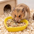 thumbnail image 5 of Anti-Tip Heart Shape Ceramic Pet Feeder Dish, Small Animal Food Water Bowl for Hamster, Guinea Pig, Chinchilla, Ideal Cage Accessory for Daily Feeding and Habitat Decoration, 5 of 6