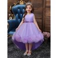 thumbnail image 2 of Girls Princess Dress Sleeveless Sequin Mesh Tutu Dress Performance Dress Wedding Flower Girls Dress For Evening Birthday #2038, 2 of 4
