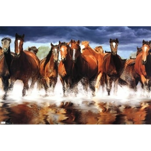 Horse Prints & Posters