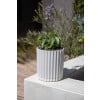thumbnail image 4 of Veradek Mason Series Demi 6" Planter White, 4 of 9