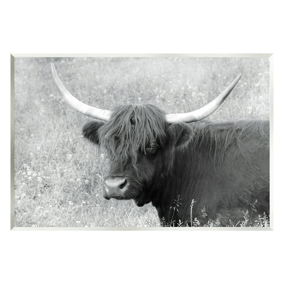 Stupell Farmhouse Cattle Highland Portrait Animals & Insects Photography Wall Plaque Unframed Art Print Wall Art