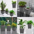 thumbnail image 5 of 10-Pack 5 Gallon Square Nursery Pots | Heavy Duty Reusable Gallon Planters,Space-Saving Eco-Friendly Gardening & Indoor,Outdoor Planting Solution!, 5 of 6