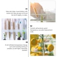 thumbnail image 3 of MasteelfCA 10Pcs Glass Test Tube Transparent Serological Test Tubes with Wooden Corks, 3 of 8