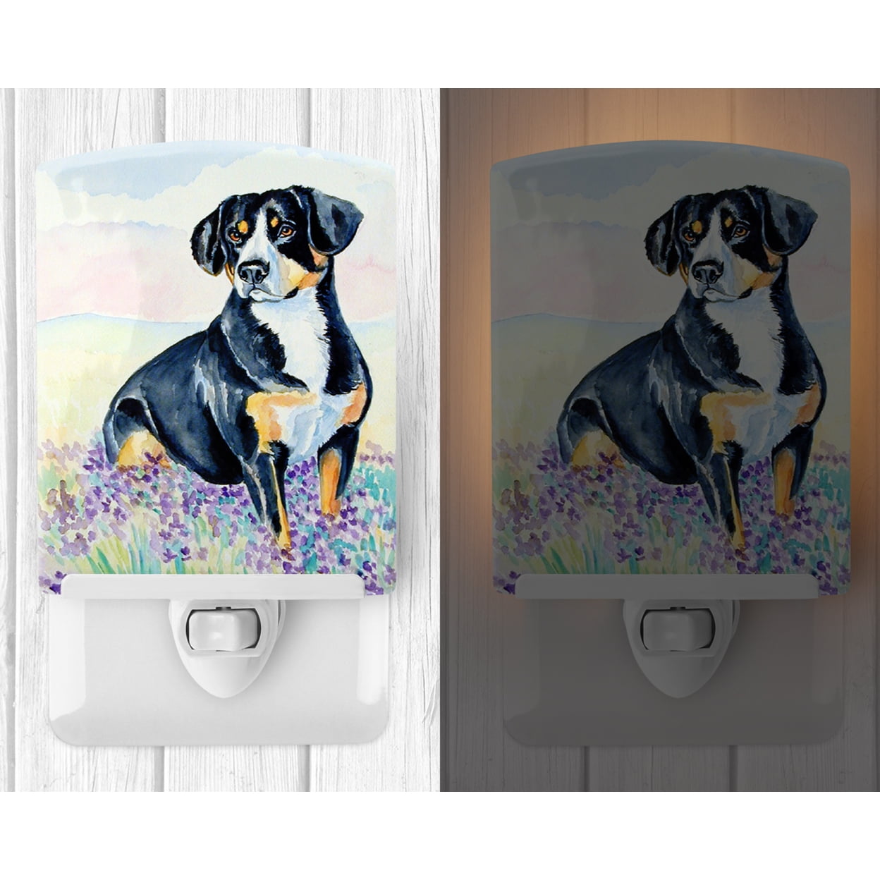 Caroline's Treasures 7030CNL Entlebucher Mountain Dog Ceramic Night Light, 6x4x3", multicolor
