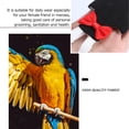 thumbnail image 3 of Creative Pet Bird Ropa Parrot Diaper Bird Pant Pet Flying Traje Piloto Ropa Piloto para Cockatiel Parakeet (Negro), 3 of 6