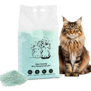 4.4lbs x 2 Packs Odor Control Premium Lump Free Low Tracking Crystal Silicone Cat Litter