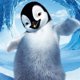 thumbnail image 1 of HOMFUN-pintura de diamante redondo/cuadrado completa, cuadro artesanal 5D, punto de cruz bordado 3D de "pingüino de hielo", regalo para decoración del hogar, 1 of 4