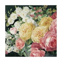 Trademark Fine Art 'Antique Roses on Black Crop' Canvas Art by Danhui Nai