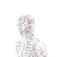 thumbnail image 2 of Modèle d'acupuncture de 52 cm, modèle de corps humain, modèle d'acupuncture complet avec base pour démonstration pédagogique aux étudiants, femme, 2 of 4