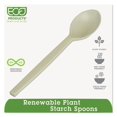 thumbnail image 2 of Eco-Products ECOEPS003 Spoon, 2 of 2