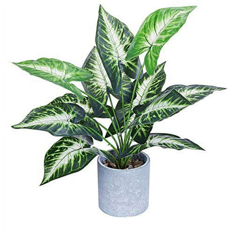 Artificial Dieffenbachia Floor Plant - 40-inch Potted Faux Greenery For  Home Or Office Decoration – Natural Looking Polyester Leaves By Pure Garden  : Target